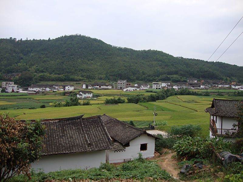 南卓村 南卓村