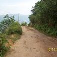 民安村(雲南省臨滄市鳳慶縣腰街彝族鄉下轄村) 民安村(雲南省臨滄市鳳慶縣腰街彝族鄉下轄村)