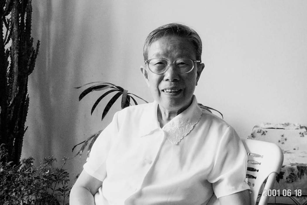 葉緒鍈 葉緒鍈