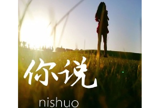 你說(白碩演唱歌曲) 你說(白碩演唱歌曲)