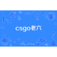 csgo老六 csgo老六