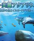 《美麗水族館》遊戲封面