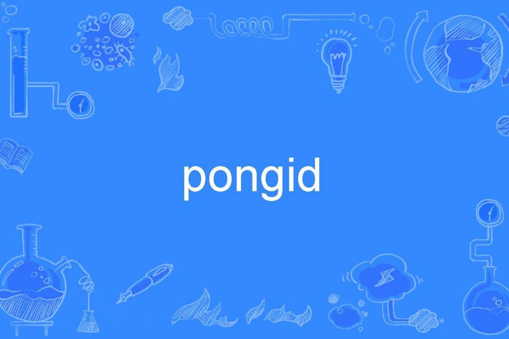 pongid