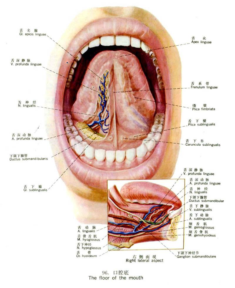 口腔醫學技術