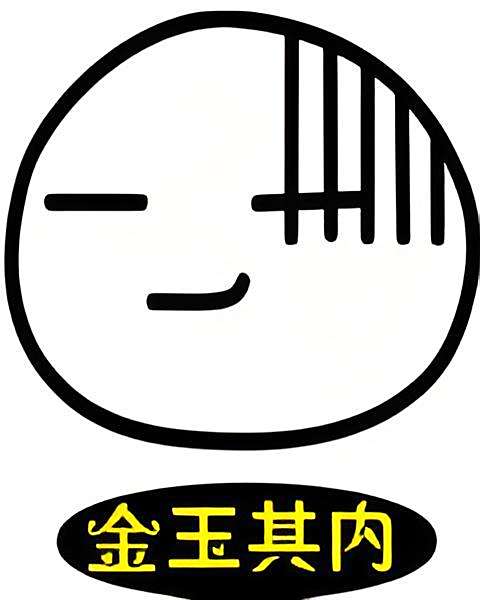 金玉其內 金玉其內