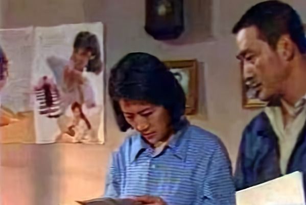半路夫妻(1994年張舒雲樊志起主演的電視劇) 半路夫妻(1994年張舒雲樊志起主演的電視劇)