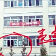 條幅哥 條幅哥