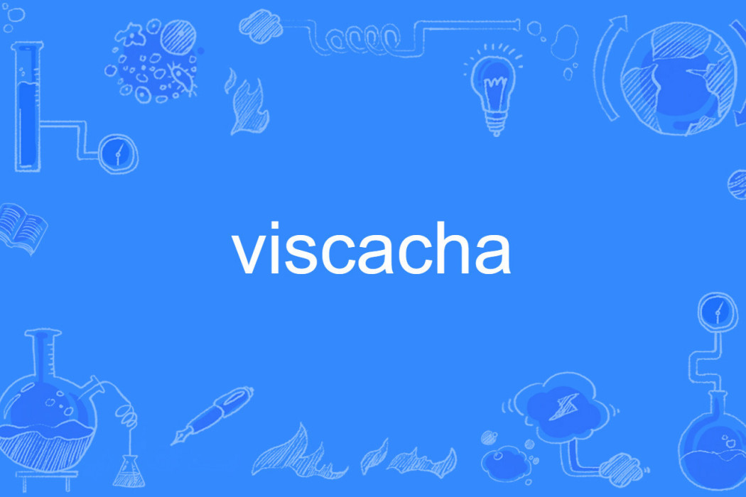 viscacha viscacha