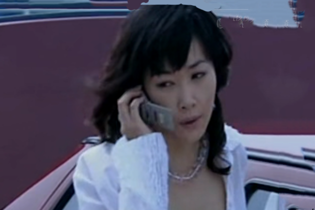 田辛(電視劇《愛無盡頭》中的女性角色) 田辛(電視劇《愛無盡頭》中的女性角色)
