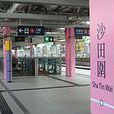 沙田圍站(沙田圍火車站)