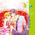 夏的暗戀 夏的暗戀