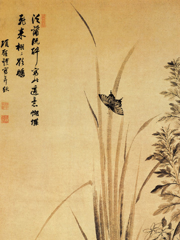 蒲蝶圖 蒲蝶圖