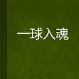 一球入魂(小說) 一球入魂(小說)