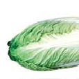 英雄菜王