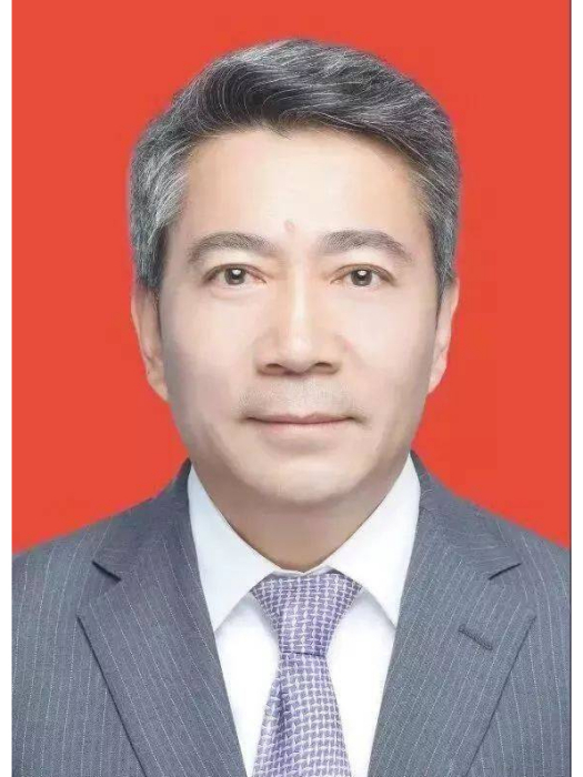 徐志新(羅田縣駱駝坳鎮燕窩垸村片區聯合黨委書記) 徐志新(羅田縣駱駝坳鎮燕窩垸村片區聯合黨委書記)