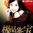 極品鑑寶(鳳梨渣創作的網路小說)