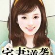 宅妻逆襲 宅妻逆襲