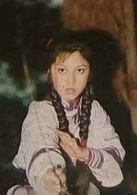 雪山飛狐(衛子云1978年主演電視劇)