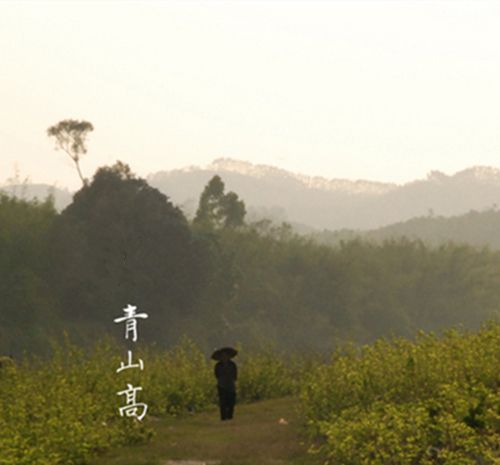 青山高 青山高