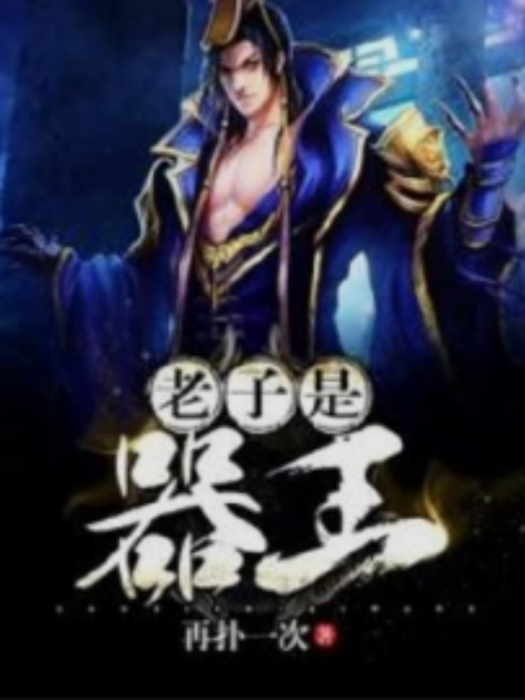 老子是器王 老子是器王