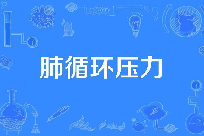 肺循環壓力 肺循環壓力