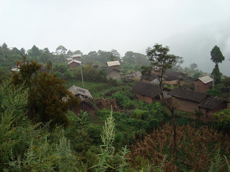 新寨組村 新寨組村