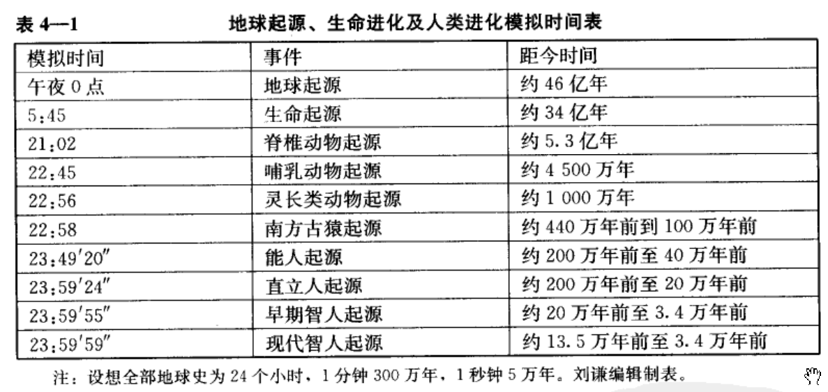 人類進化