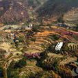 中宮風景區(信宜中宮風景區) 中宮風景區(信宜中宮風景區)