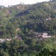 龍窩村(雲南文山州丘北縣雙龍營鎮下轄村) 龍窩村(雲南文山州丘北縣雙龍營鎮下轄村)