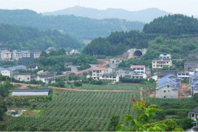 望月村(四川省南部縣南隆街道望月村) 望月村(四川省南部縣南隆街道望月村)