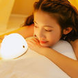 小夜燈(電器) 小夜燈(電器)