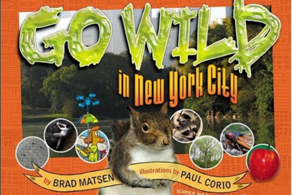 Go Wild in New York City Go Wild in New York City