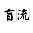 盲流(指無固定職業、住所的流動人員) 盲流(指無固定職業、住所的流動人員)
