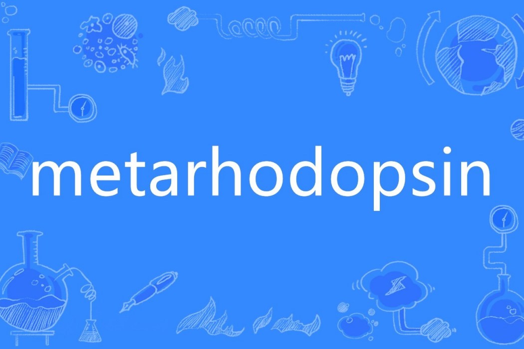 metarhodopsin metarhodopsin