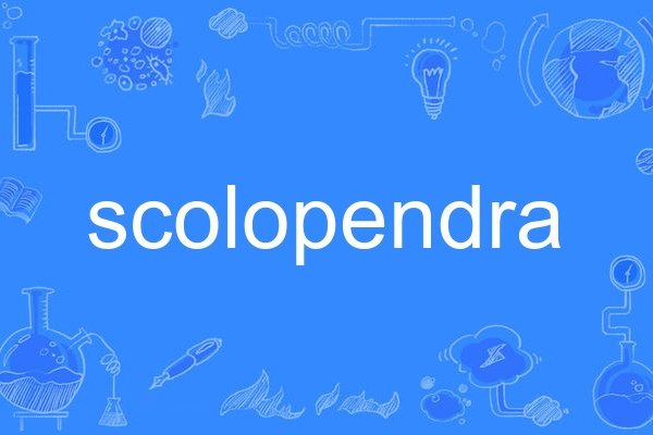 scolopendra scolopendra