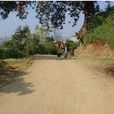 王家山(雲南省大理白族自治州祥雲縣城鎮下轄村) 王家山(雲南省大理白族自治州祥雲縣城鎮下轄村)