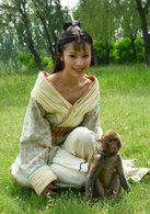母儀天下(2008年黃健中執導電視劇)