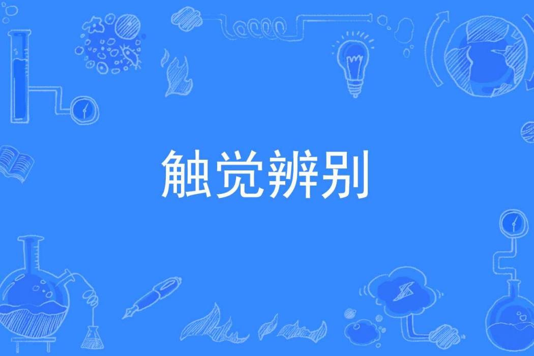 觸覺辨別 觸覺辨別