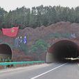 巴南高速公路 巴南高速公路