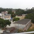 荔枝國小 荔枝國小