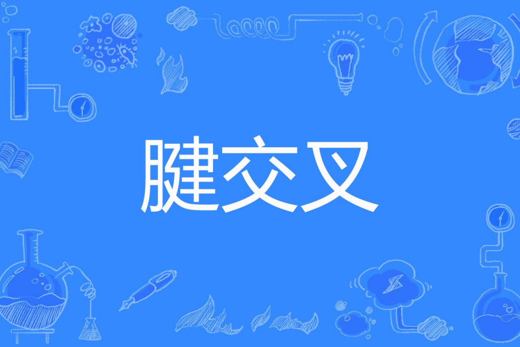 腱交叉 腱交叉