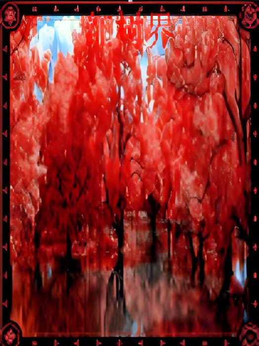 紅樹界 紅樹界