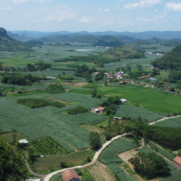 北敢村