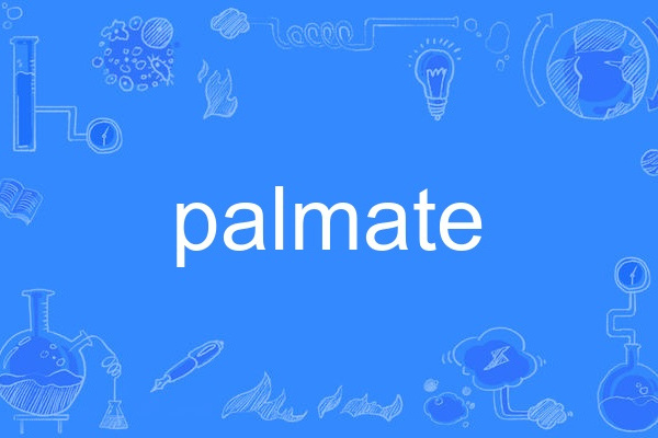 palmate palmate