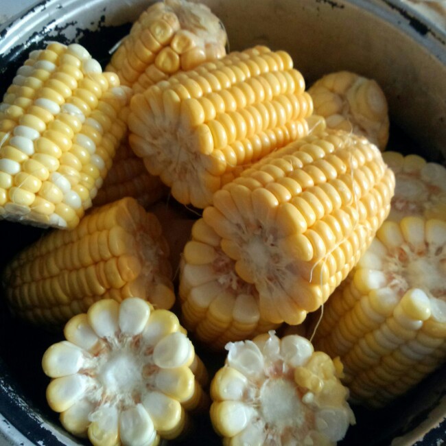 馬蹄玉米