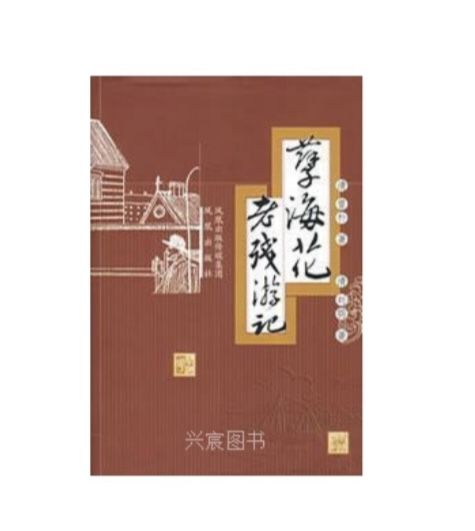 老殘遊記(2007年鳳凰出版社出版的圖書) 老殘遊記(2007年鳳凰出版社出版的圖書)