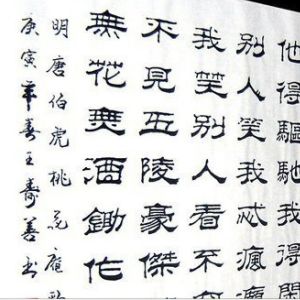 王壽善 王壽善
