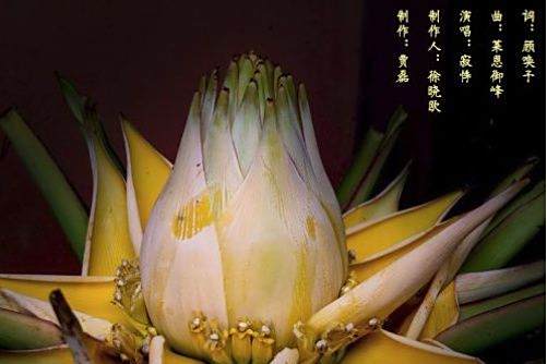 千葉佛蓮