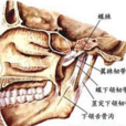 放射性骨損傷