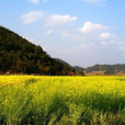小曼別村 小曼別村